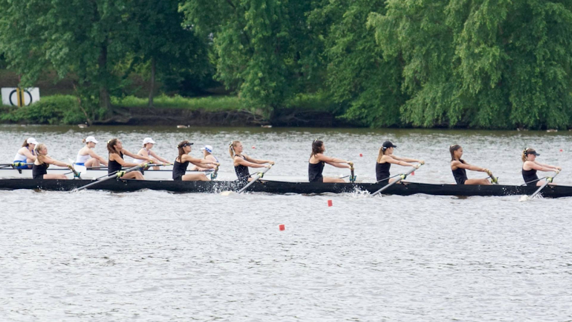 Team Alignment: The Simple Way to Get Everyone Pulling the Same Direction